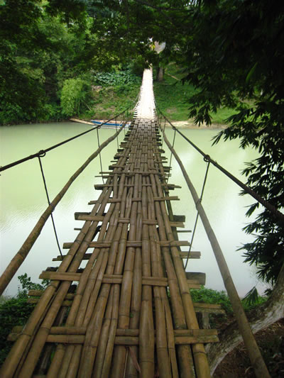 Bamboo bridge construction