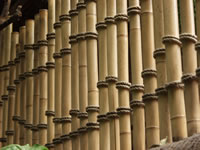 Bamboo Fencing