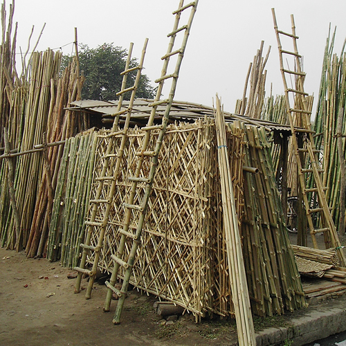 Bamboo Garden Stakes Bamboo Garden Stakes