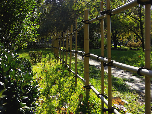 Bamboo Fencing Yotsume-gaki Style