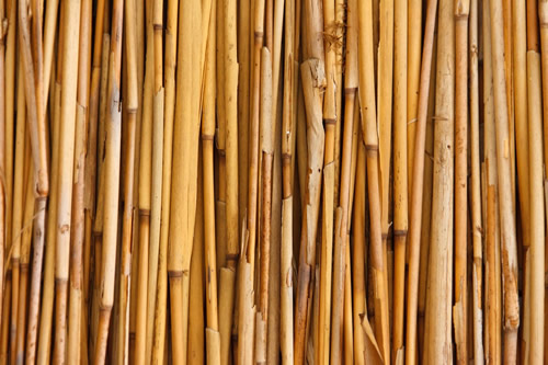 Bamboo Garden Stakes - Garden Canes and Poles Bamboo Garden Stakes - Garden Canes and Poles