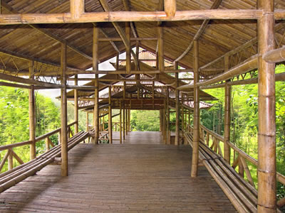 Bamboo Building Products and Building with Bamboo