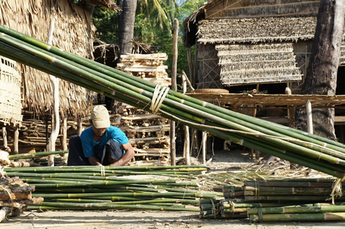 Bamboo Harvesting, your guide to construction and building with bamboo