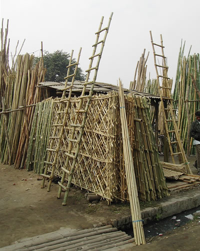Bamboo Suppliers