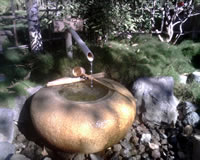 Bamboo Water Fountain